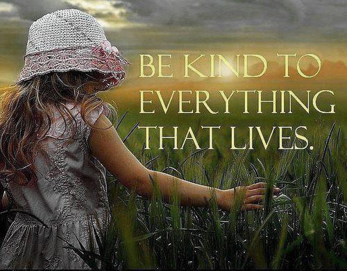 11062_536816509694384_154967415_n