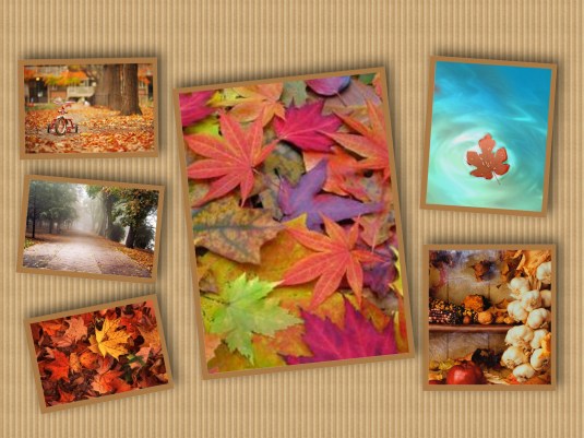 fall collage