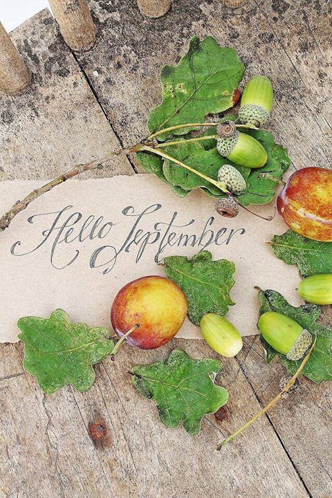 hello september