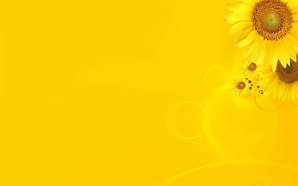 HD-Plain-Yellow-Background-with-Flowers