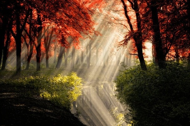 favim-com-autumn-fall-landscape-light-nature-photography-78766