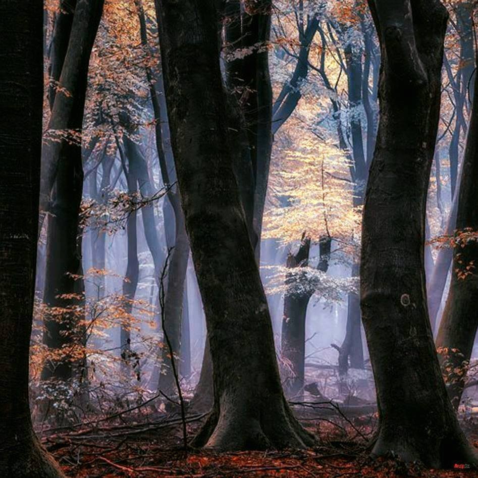 15284026_10154764605683185_4370022615183948799_n