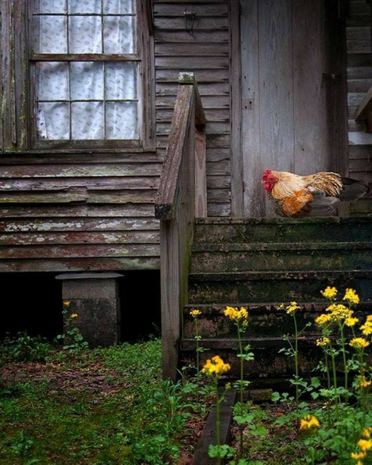 31466875_1891275007573002_4524902867022118912_n