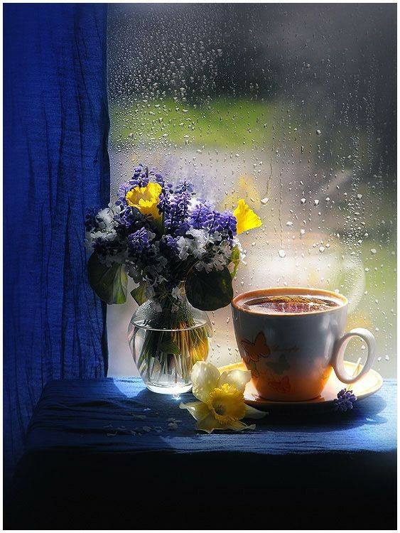 31960195_1900961749937661_1561959995010973696_n